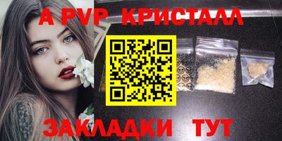 амф Сланцы